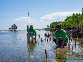 Members of the Maslog Coconut Farmer and Fishermen Association, a local fisherfolk organisation in Lawaan (in the province of Eastern Samar), planting mangrove saplings to restore a mangrove forest that was damaged by Super Typhoon Haiyan in 2013. Together with the support of Oxfam and our local partner, the association has planted more than 20,000 mangrove seedlings since 2015. (Photo: Elizabeth Stevens / Oxfam) 